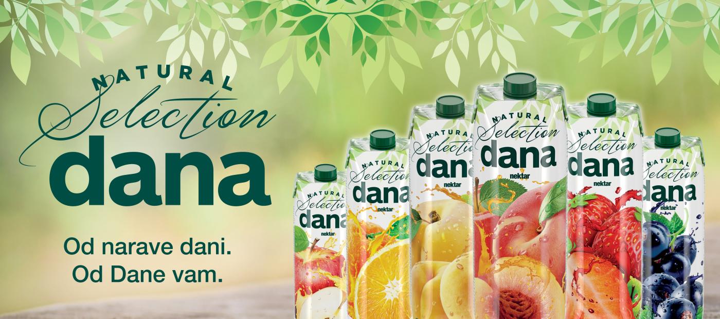 DANA Davidov hram NEKTAR 1400x620px 10 2025(3)